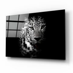 Kaplan Cam Tablo Özel Tasarım Ofis, Mutfak Çocuk Odası, Salon Dekorasyon