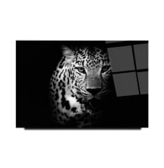 Kaplan Cam Tablo Özel Tasarım Ofis, Mutfak Çocuk Odası, Salon Dekorasyon