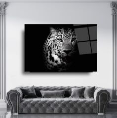 Kaplan Cam Tablo Özel Tasarım Ofis, Mutfak Çocuk Odası, Salon Dekorasyon