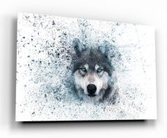 Kurt Cam Tablo Özel Tasarım Ofis, Mutfak Çocuk Odası, Salon Dekorasyon