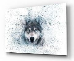 Kurt Cam Tablo Özel Tasarım Ofis, Mutfak Çocuk Odası, Salon Dekorasyon