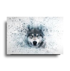 Kurt Cam Tablo Özel Tasarım Ofis, Mutfak Çocuk Odası, Salon Dekorasyon