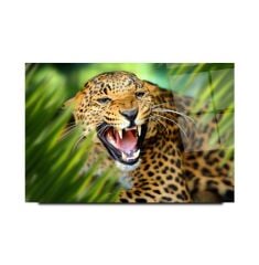 Leopar Cam Tablo Özel Tasarım Ofis, Mutfak Çocuk Odası, Salon Dekorasyon