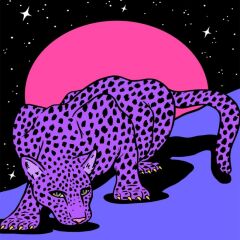 Kanvas Uzaydaki Leopar Sayılarla Boyama Seti Rulo