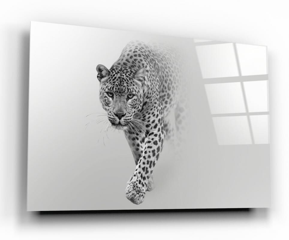 Leopar Cam Tablo Özel Tasarım Ofis, Mutfak Çocuk Odası, Salon Dekorasyon